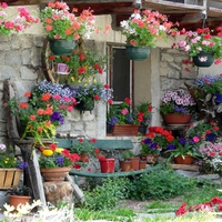 Old-house-in-Le-Tour-Chamonix-valley