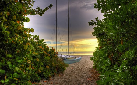 Path To The Sea - beach, boat, sunrise, sailboats, sand, leaves, path, view, sky, clouds, trees, beautiful, sea, beauty, colors, lovely, ocean, boats, nature, green, sailboat, peaceful