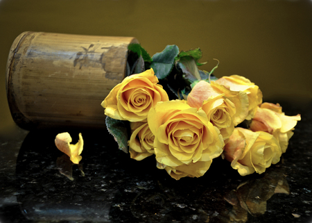 still life - elegantly, roses, yellow, photo, leaves, flowers, old, nice, beautiful, photography, cool, still life, flower, petals, bouquet, harmony, bloom, nature, rose, leaf