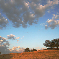 beautiful nature
