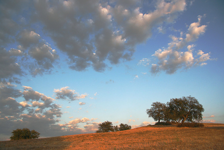 beautiful nature - sky, hill, clouds, beautiful, field, tree, grey withe, nature