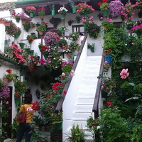 Patio de Flores