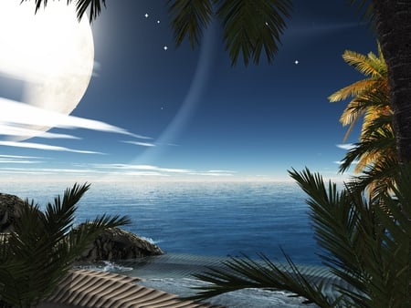 Moon light - moon, beach, blue, palms, sand, sea