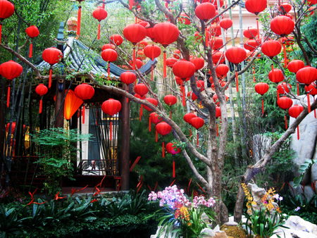 chinese new year - new year, lantern, chinese, red