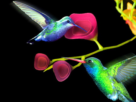 Little beauties - iridescent, nectar, two, hummingbirds, flowers, colors, green blue white