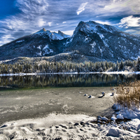 Perfect Winter Landscape