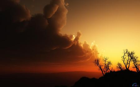 Approaching-Dawn - nature, sky, landscape, trees, clouds, sunsets, gold