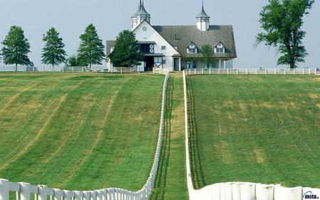 Manchester-Farm-Lexington-Kentucky - white, nature, sky, farm, landscape, trees, house, grass