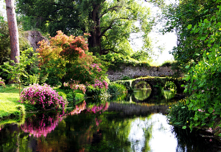 Garden - flowers, forest, nature, garden