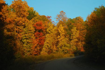 heading-up-the-hill-towards-homesmall - nature, sky, trees, clors, forest, road