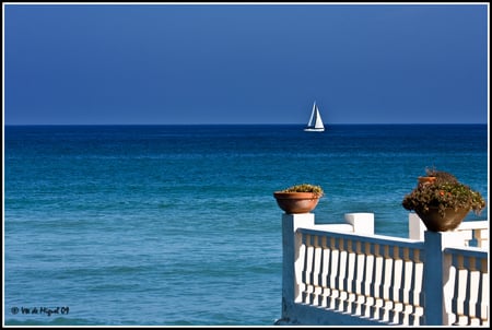 Mediteranneo - beach, sailboath, mediterran, terraza, white, blue, beautiful, potflowers, sea