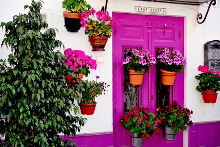 purple door - white house, potflowers, purple door, beautiful