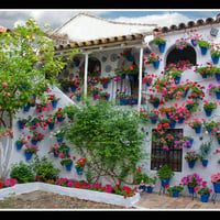 Patio de Flores