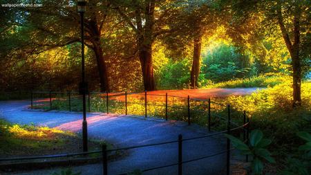 last_sunlight_in_the_park - sunlight, trees, nature, road, landscape, colors, forest, park