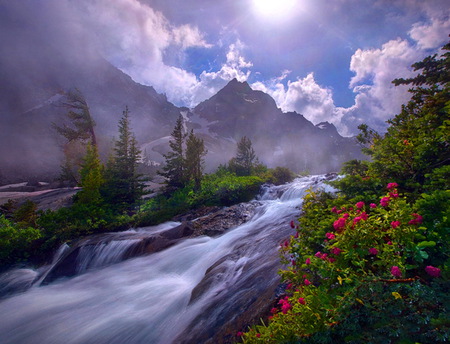 River melody - flowers, clouds, river, motion, trees, foam, mountains