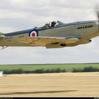 SEAFIRE