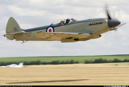 SEAFIRE - s, p, t, i