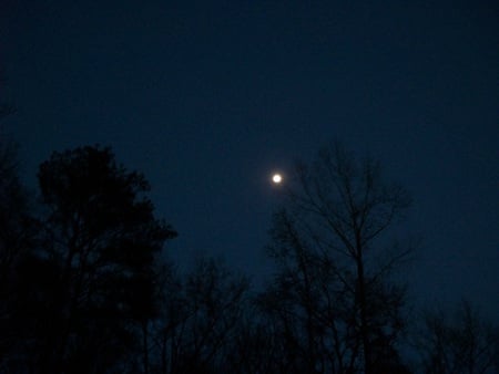 almost a full moon deep blue night sky - moon, night, deepblue, late evening, sky