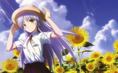 in the field - anime, wallpaper, girl, other