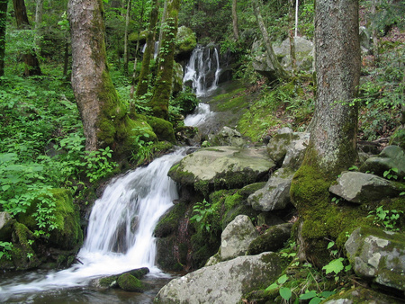 Falls - nature, waterfalls, forest, rocks