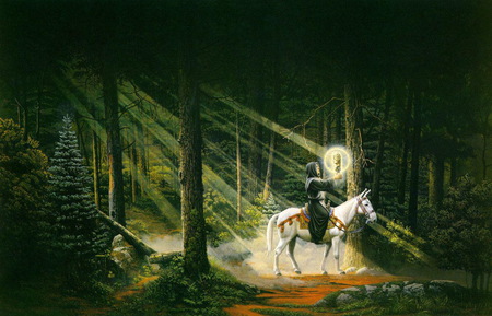 passenger - fantasy, donkey, forest, man, wallpaper