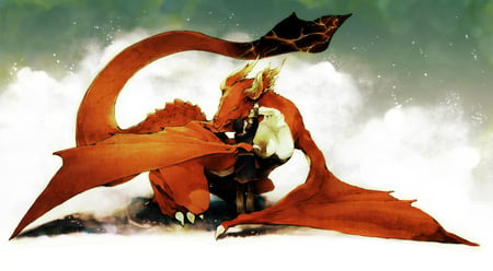 Comrades - anime, dragon, drakengard, fantasy