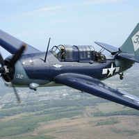 CURTIS HELLDIVER