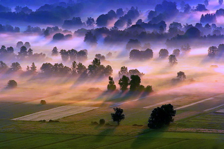 Morning Breeze - mists, breeze, trees, hills, morning