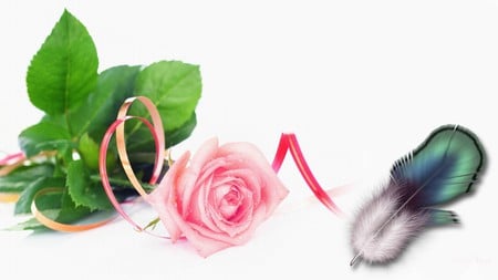 Pink Rose and Feather - feather, leaves, ribbon, summer, firefox persona, rose, flower