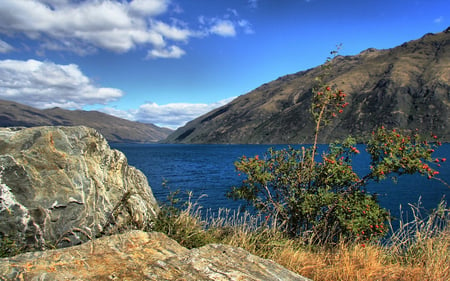 Lake - lakes, nature, mountains, forest