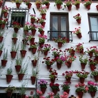 patio con flores