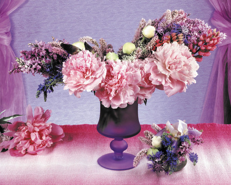 colors soft and fair - curtain, flowers, vase, table, wall