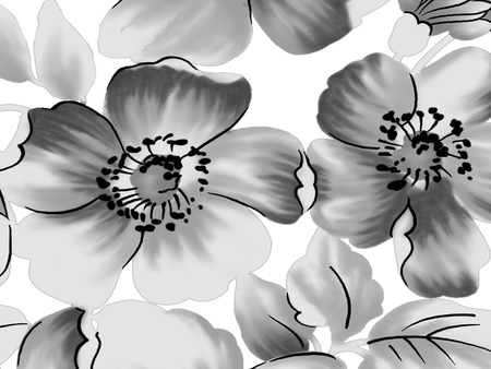 Black and White Flowers - white, beauty, flowers, black