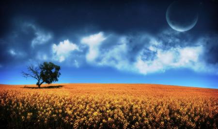 Digital field - clouds, blue, planet, tree, colours, fantasy, nature, digital, field, 3d, sky