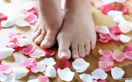 spa flowers - clean, nature, theraphy, spa, flowers, colors, foot