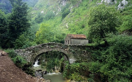 Bridge - house, forest, nature, bridge