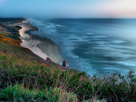 Coastline - nature, oceans, forest, coastline