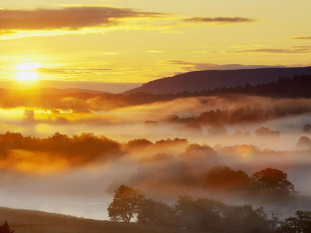 Glorious - sky, trees, clouds, sun, fog, countryside, field, mist