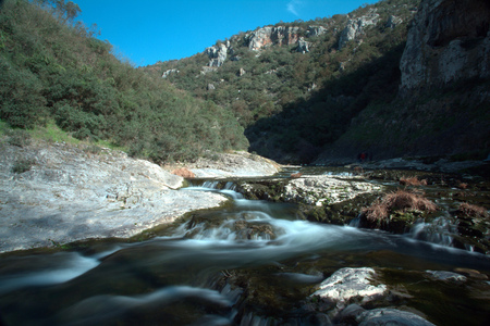 Running Water - trees, brush, rocks, river