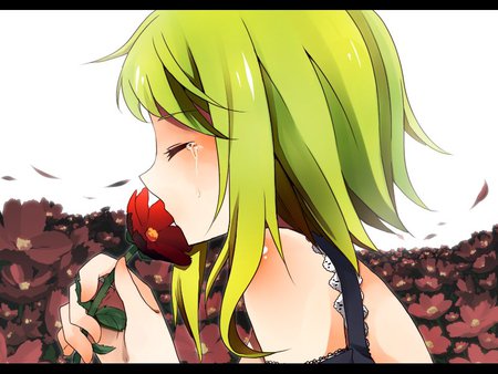 Crying - girl, vocaloid, anime, gumi, flowers, crying