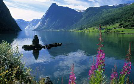 a touch of pink - flowers, water, nature, landscape, lake, mountain