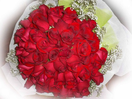 red roses - bouquet, flowers, roses, red