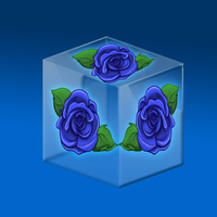 Blue Rose