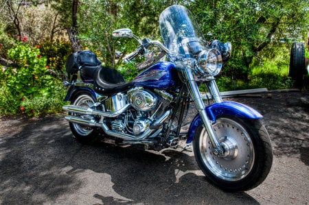 Ready To Go Riding - chopper, motorcycle, bike, harley davidson