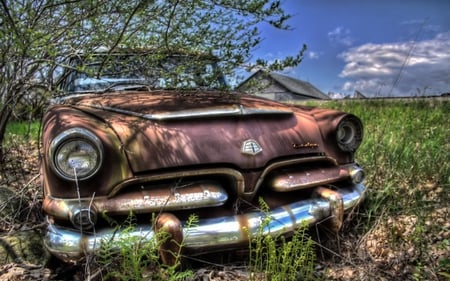 someone's Forgotten Dreams - dodge, grass, old car, tree