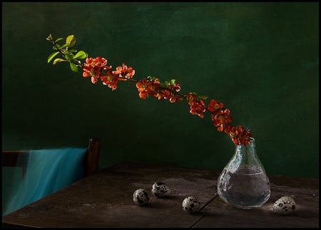 still life 1 - blossoms, branch, water, glass bottle, beautiful, birds eggs, table, still life, chear, shawl