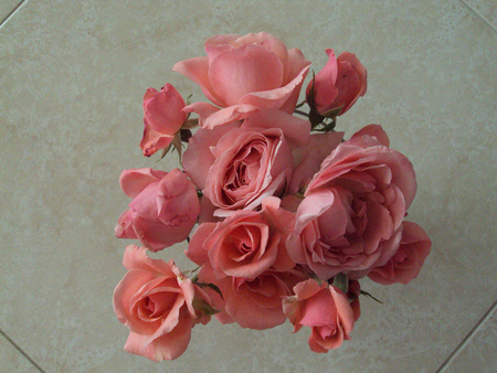 pink roses - beautiful, vase, still life, pink roses