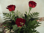 red roses