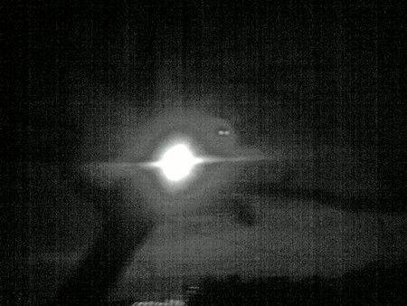 eye of nature - moon, nature, scary, beatiful, dark, tree, twilght