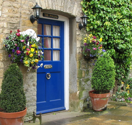 blue door and pansies - garden, door, blue, pansies